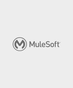 MuleSoft Architect