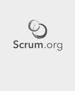 Professional Scrum Certifications