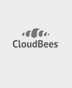 Certified CloudBees Jenkins Engineer